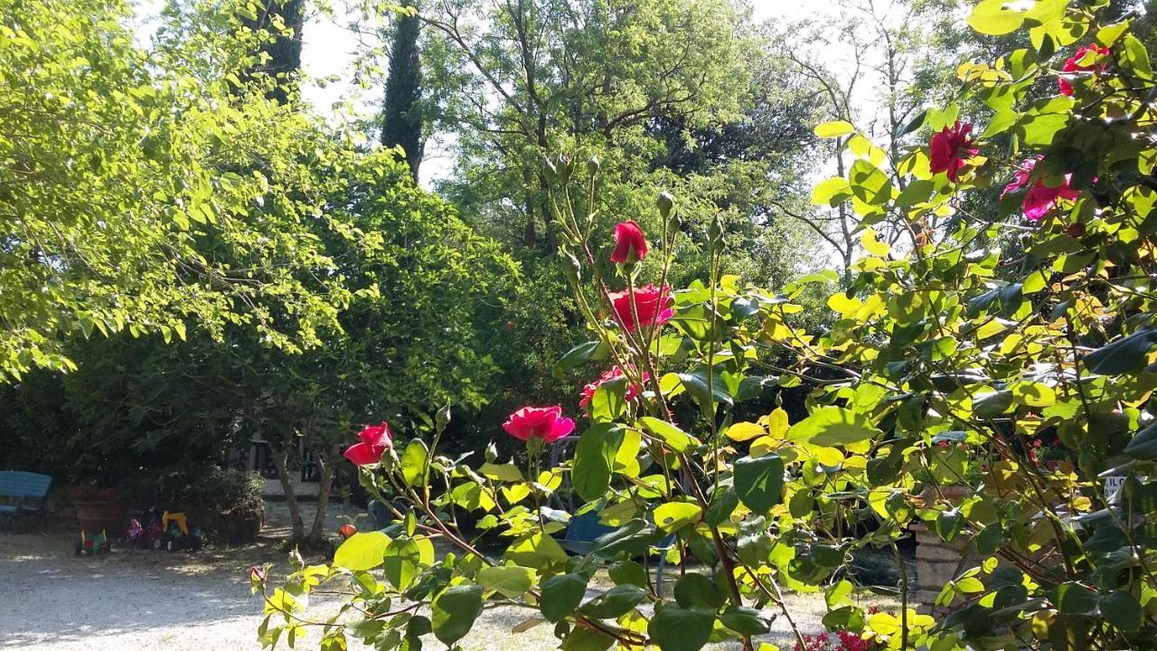 Agriturismo Alle Rose Волтера Екстериор снимка