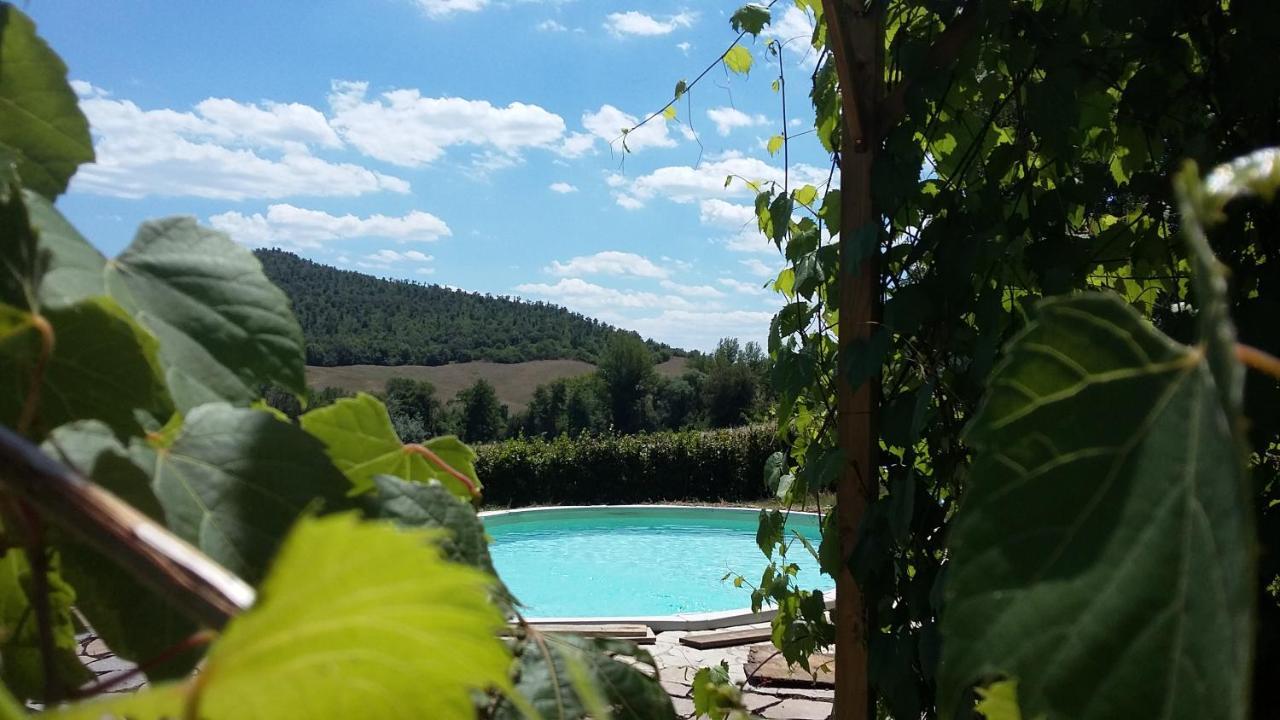 Agriturismo Alle Rose Волтера Екстериор снимка