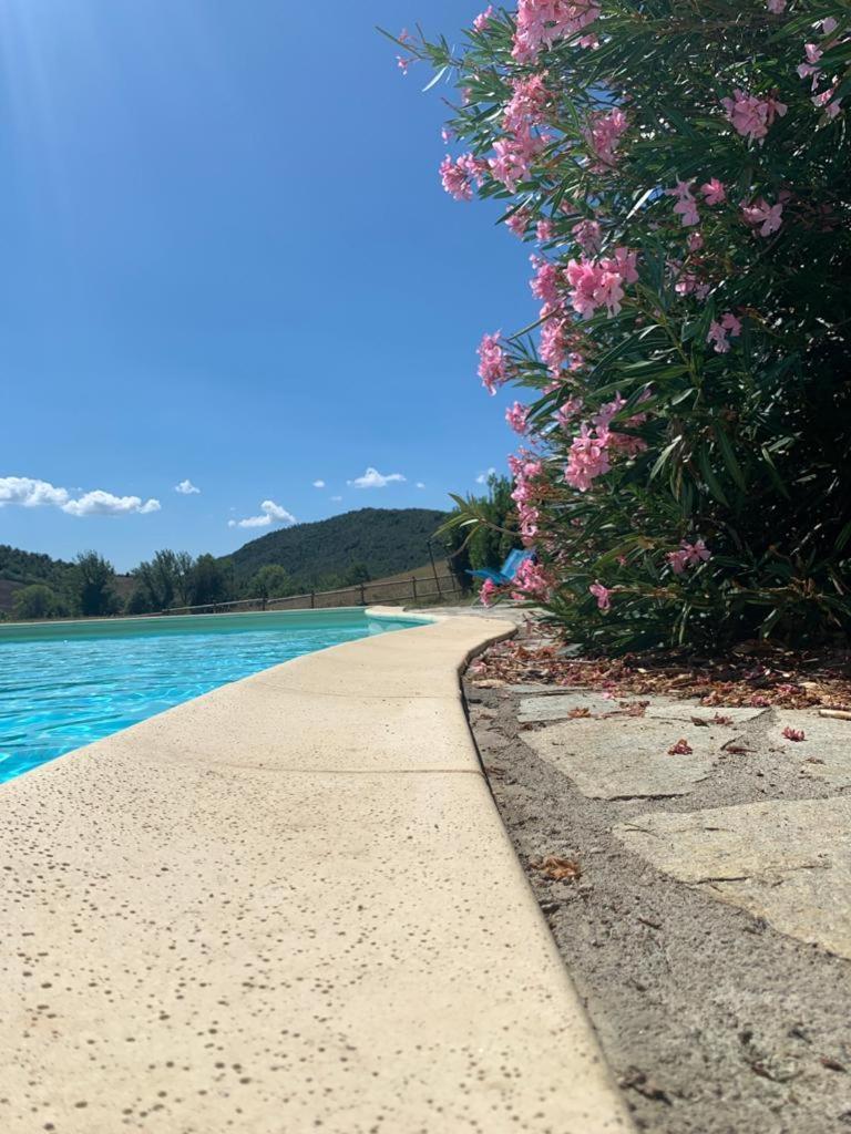 Agriturismo Alle Rose Волтера Екстериор снимка