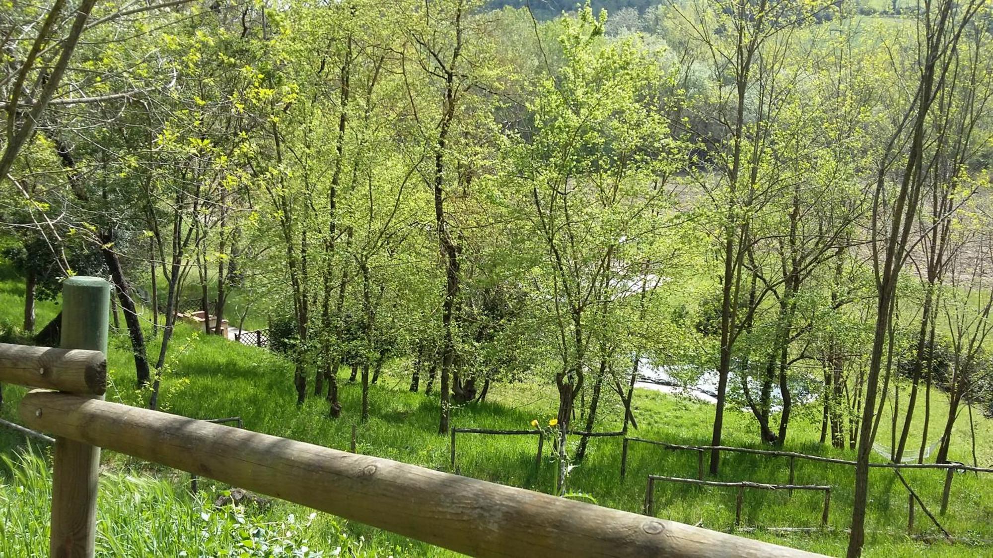 Agriturismo Alle Rose Волтера Екстериор снимка