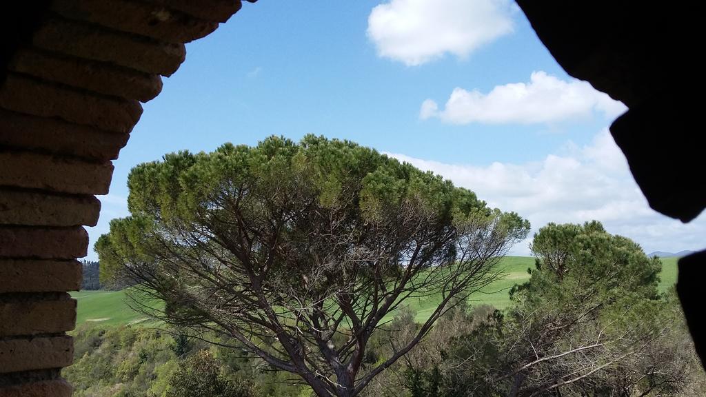 Agriturismo Alle Rose Волтера Екстериор снимка