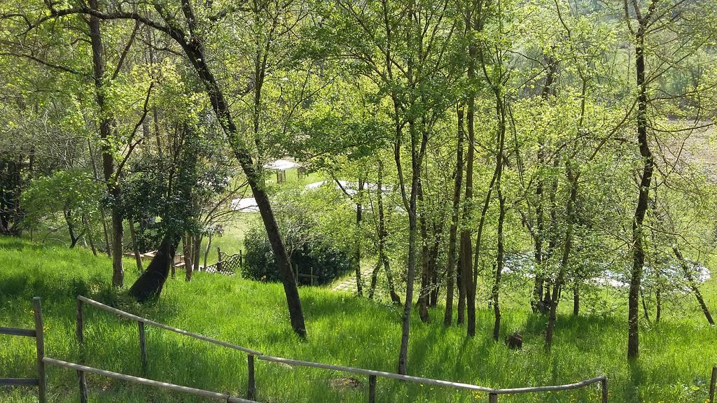 Agriturismo Alle Rose Волтера Екстериор снимка