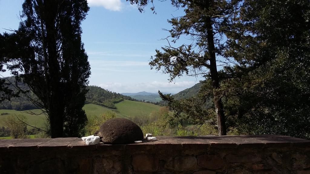 Agriturismo Alle Rose Волтера Екстериор снимка